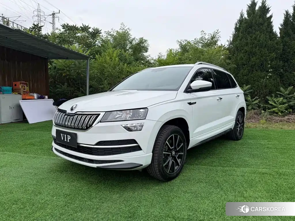 Skoda Krok id 4576506 из Китая 12