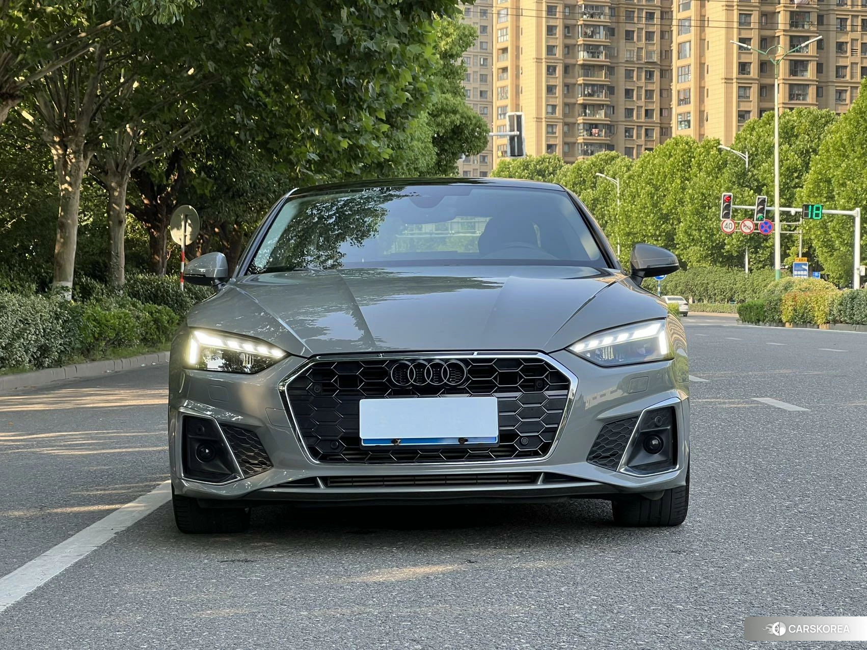 Audi A5 id 4421154 из Китая 14