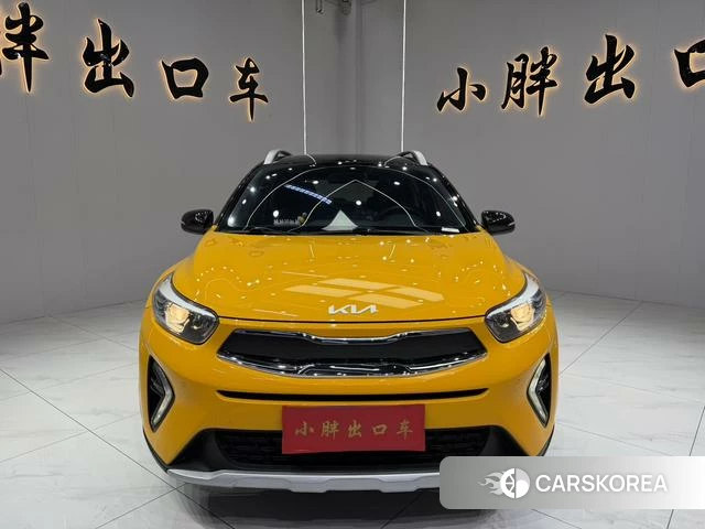 Kia Yi Ran id 4291417 из Китая 18