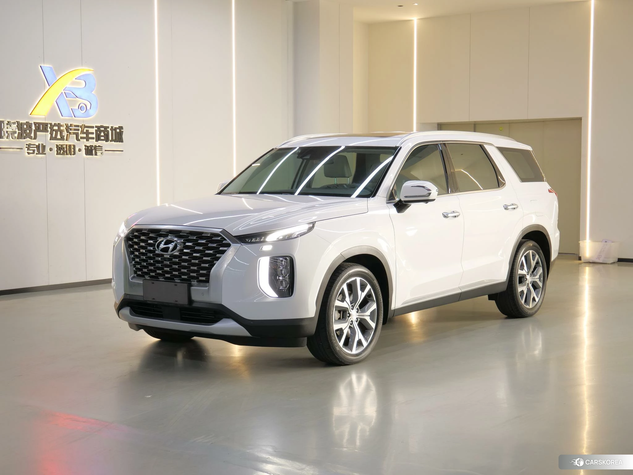 Hyundai Paristi id 4486482 из Китая 18
