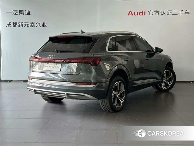 Audi e-tron id 4198842 из Китая 12