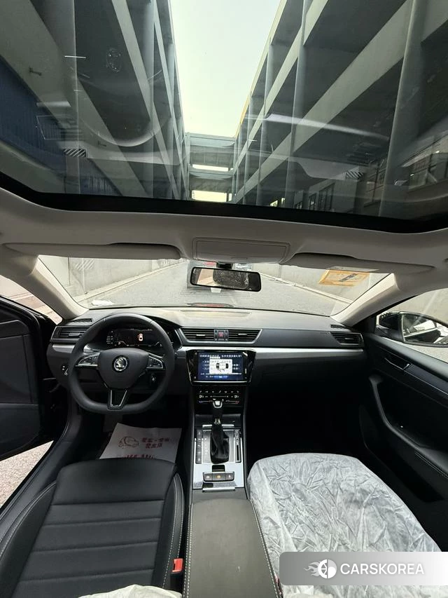 Skoda Speed pie id 4182603 из Китая 18