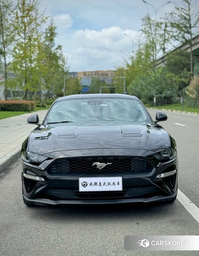 Ford Mustang id 4400081 из Китая 7