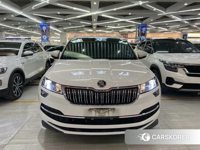 Skoda Krok id 4392335 из Китая 20
