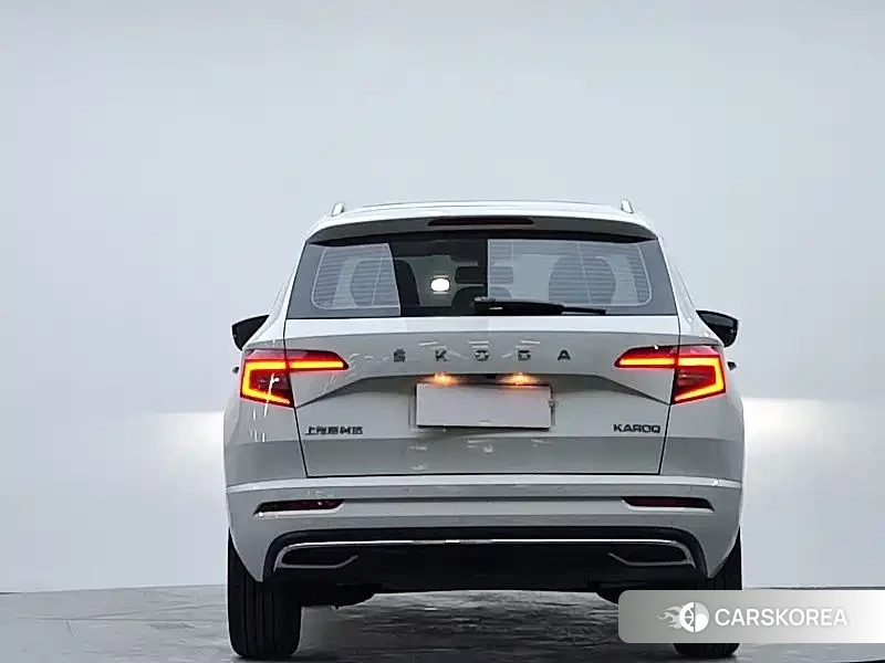 Skoda Karoq id 4601047 из Китая 15