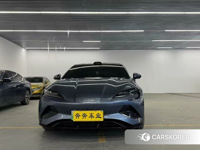 BYD seal id 3909028 из Китая 12