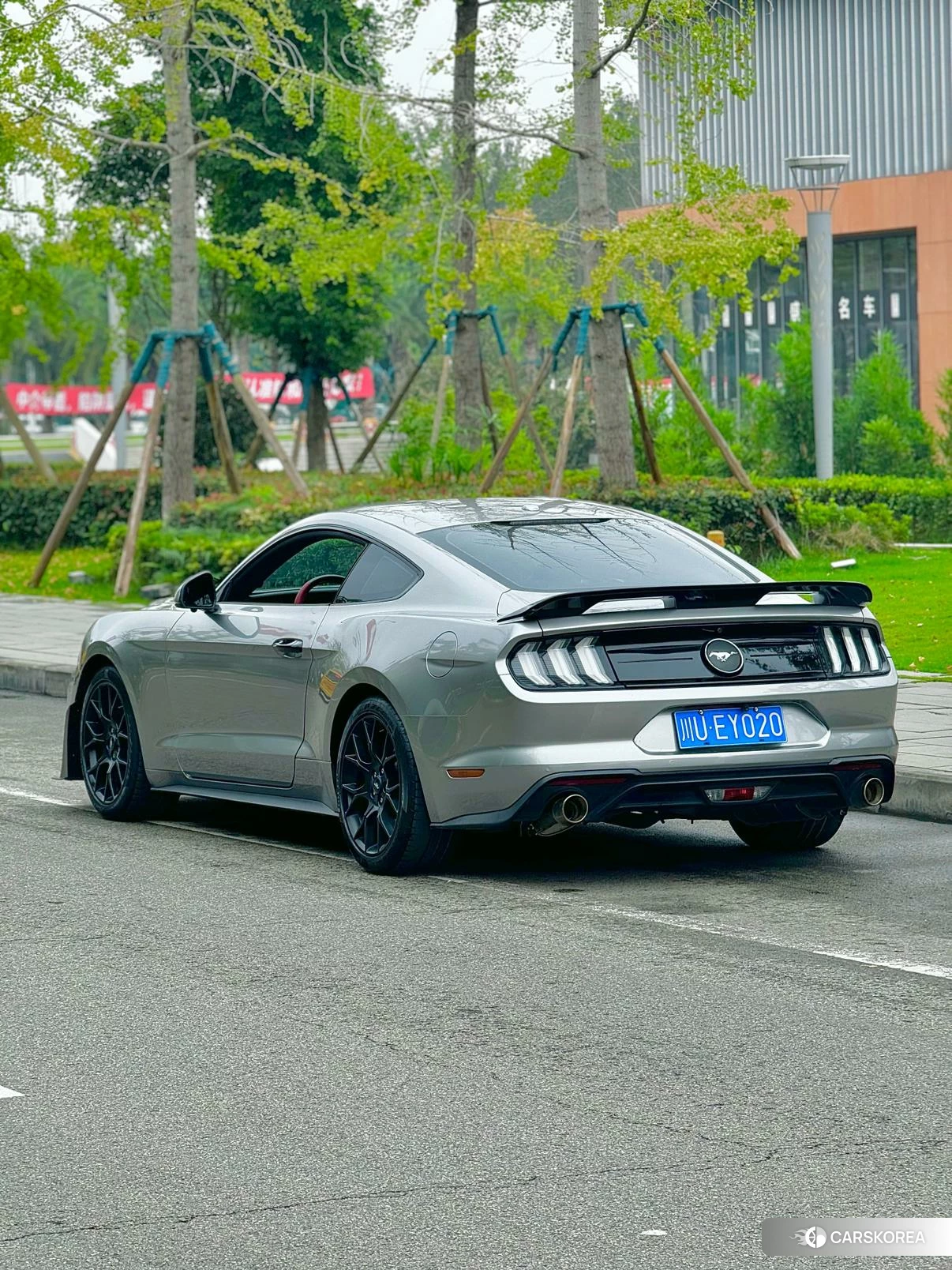 Ford Mustang id 4420867 из Китая 7
