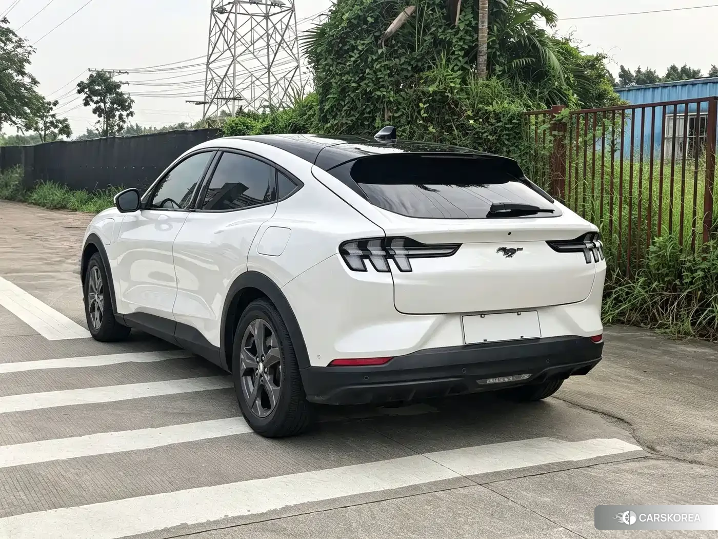 Ford Electric horse id 4686014 из Китая 15