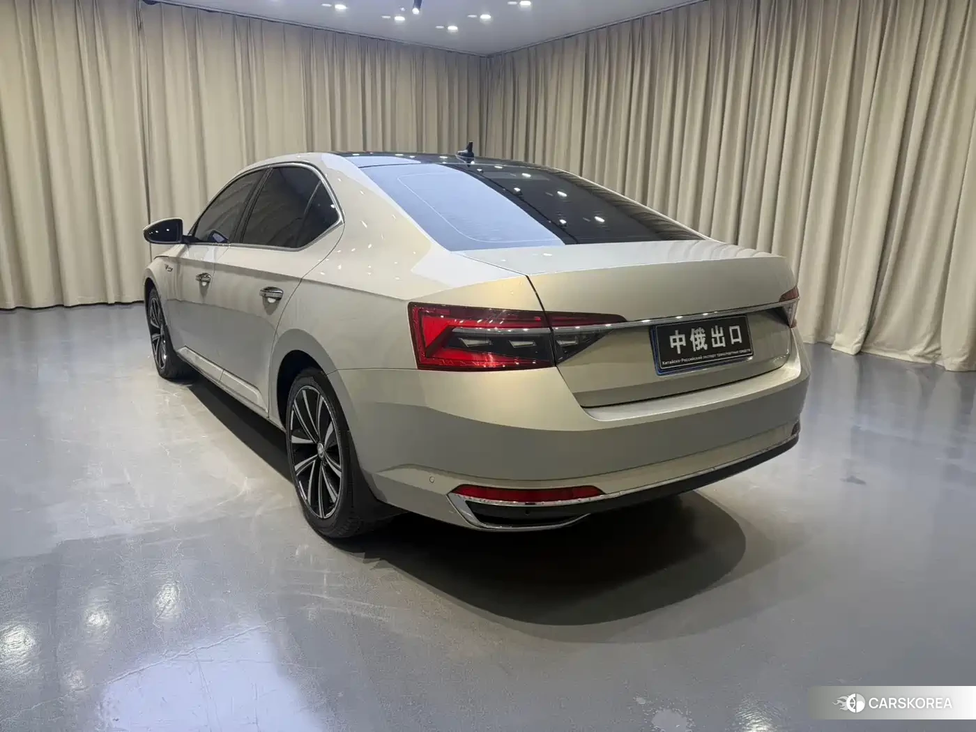 Skoda Speed pie id 4553739 из Китая 15