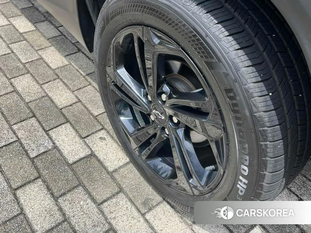 Chevrolet (GM Daewoo) Trailblazer id 4632221 из Кореи 17