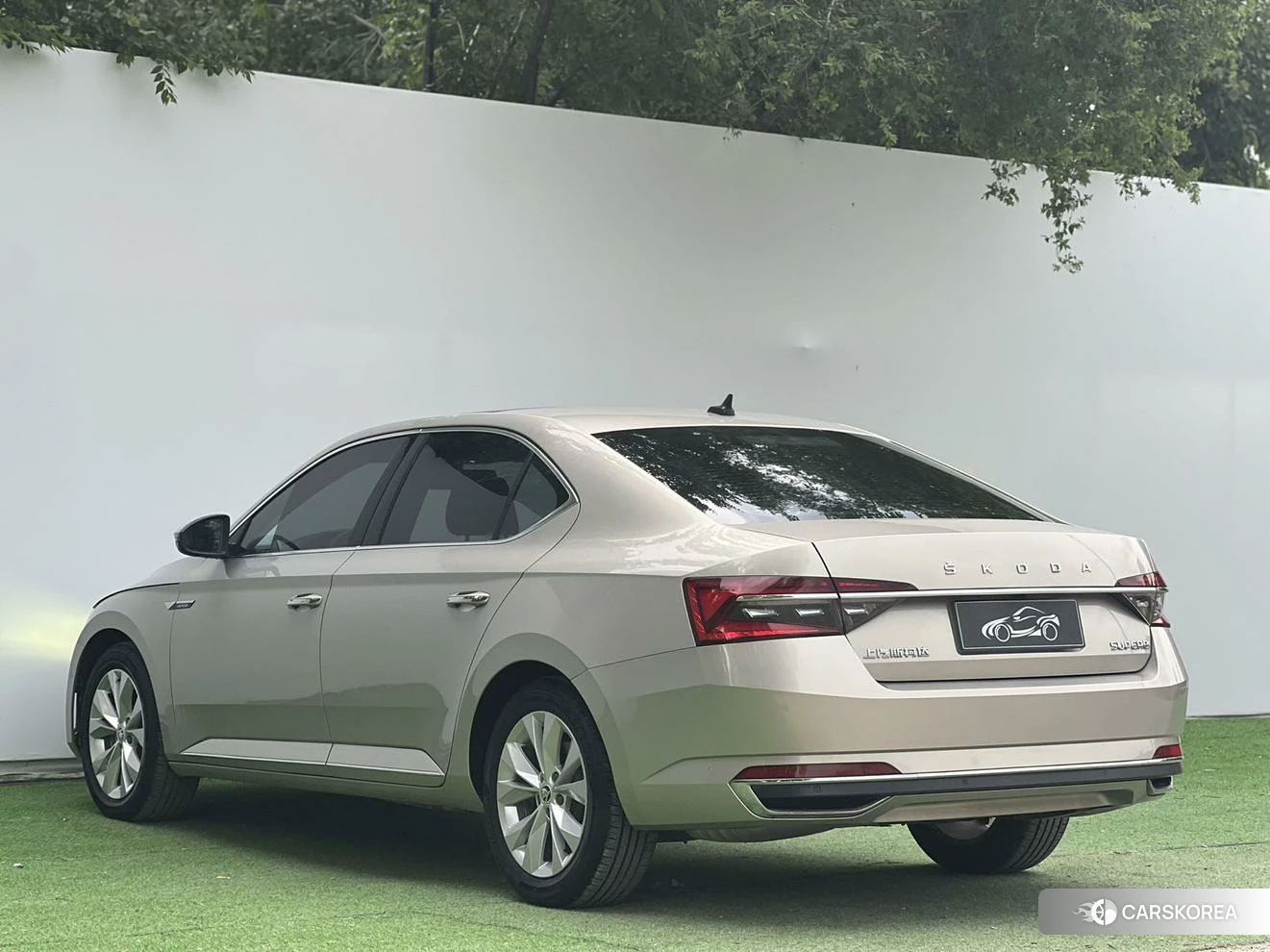 Skoda Speed pie id 4515155 из Китая 7