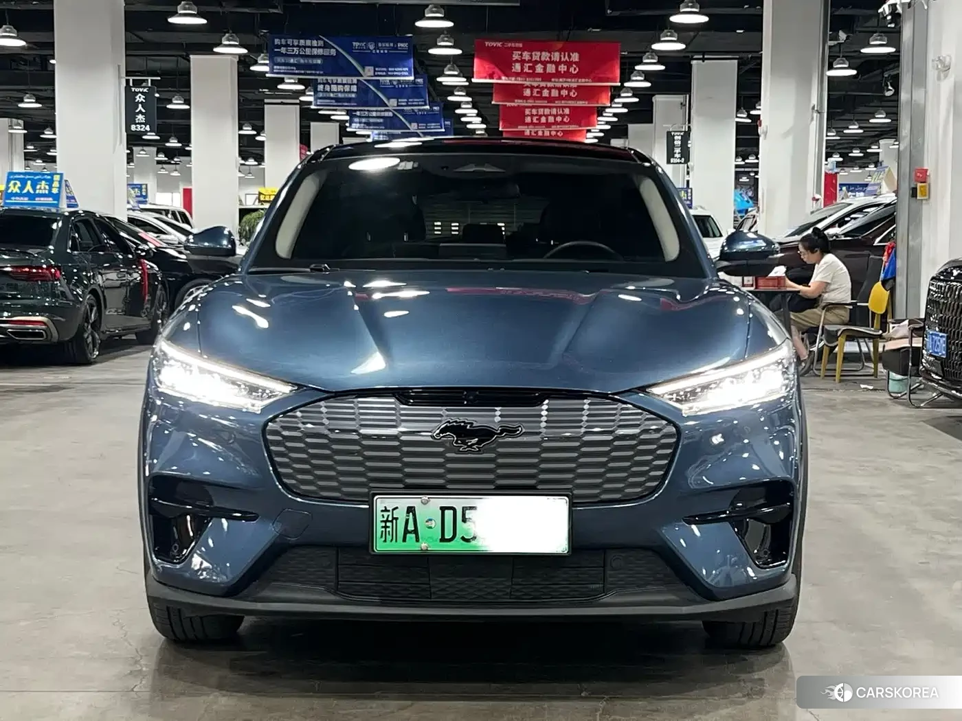 Ford Electric horse id 4599757 из Китая 7