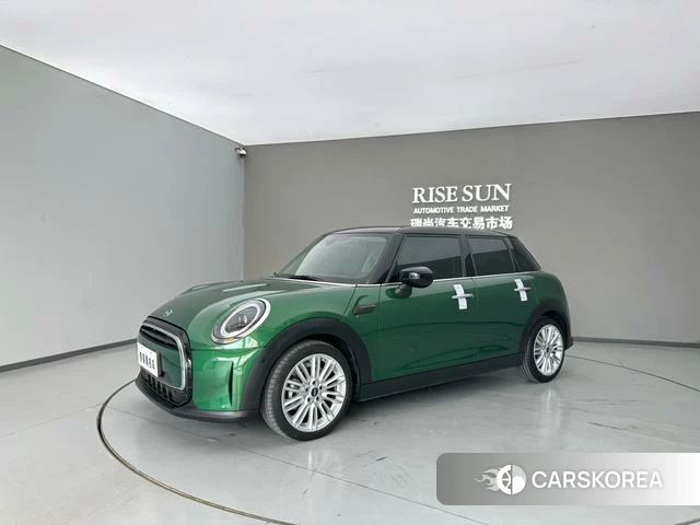 MINI MINI id 4242529 из Китая 7