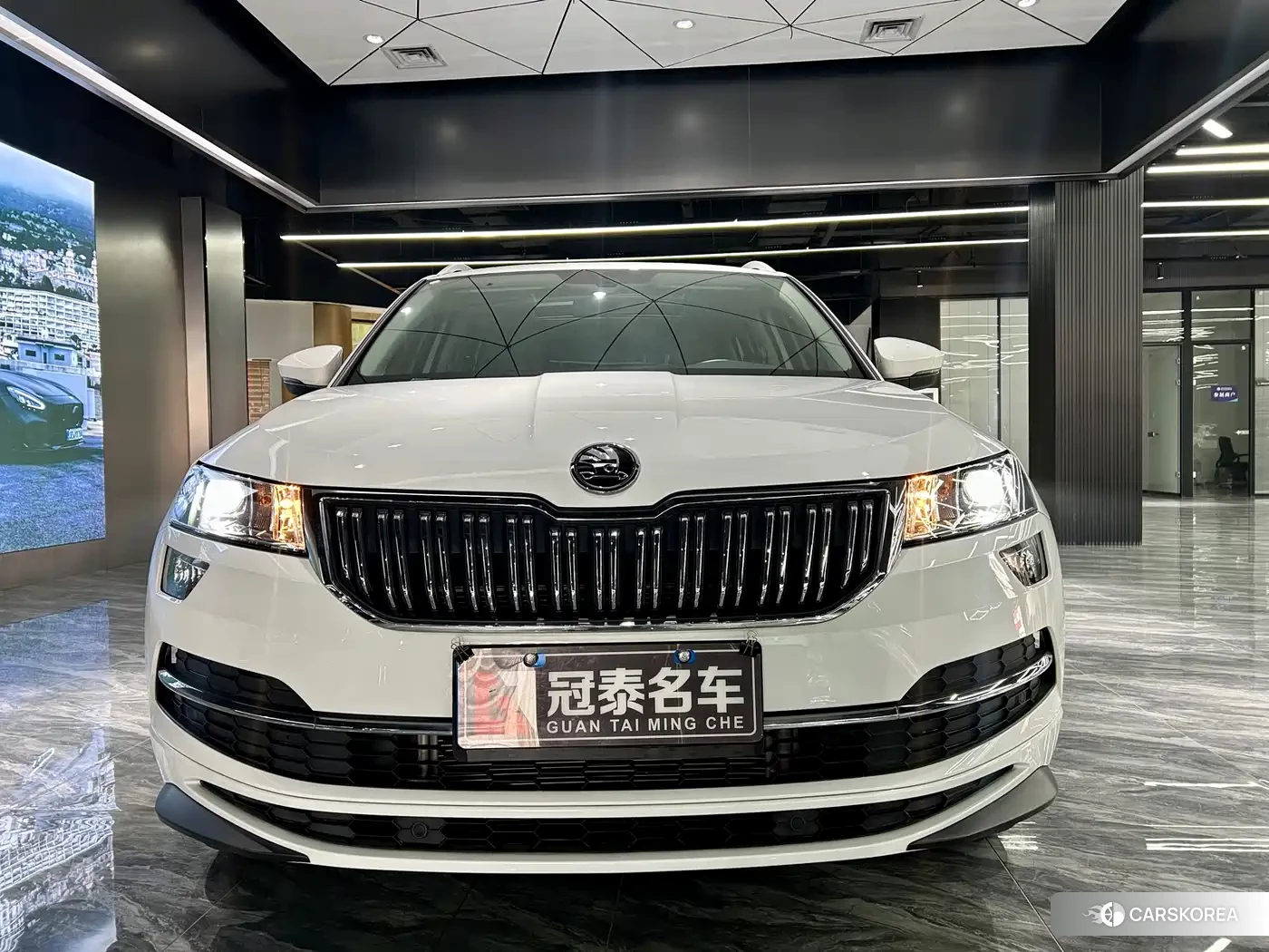 Skoda Krok id 4553841 из Китая 33