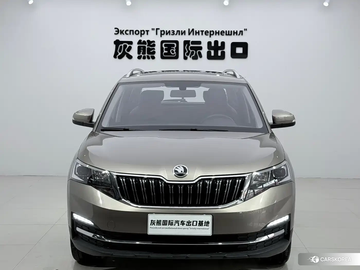 Skoda Kamiq id 4583800 из Китая 13