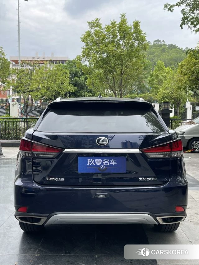 Lexus RX id 4291274 из Китая 7