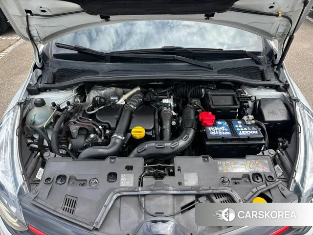 Renault Korea (Samsung) Clio id 4632930 из Кореи 14
