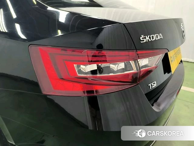 Skoda Speed pie id 4211522 из Китая 17