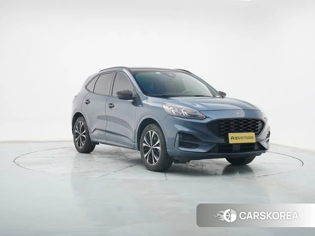 Ford Ruiji id 4213538 из Китая 25