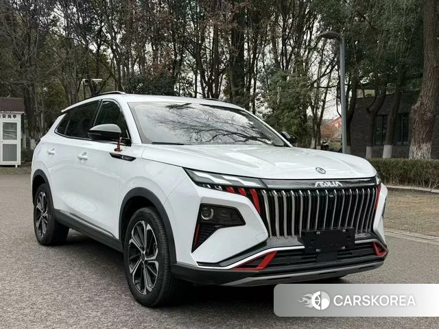 Dongfeng Fengshen Haoji id 4241876 из Китая 16