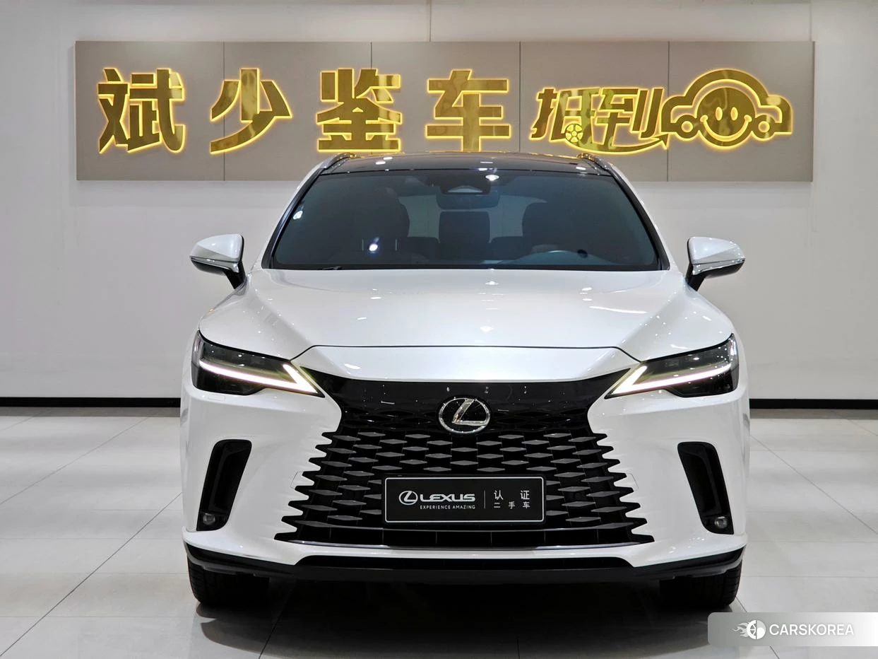 Lexus RX id 4512881 из Китая 9