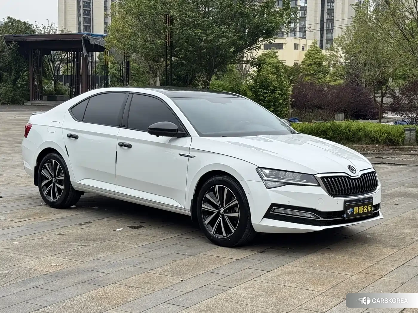 Skoda Speed pie id 4546434 из Китая 7