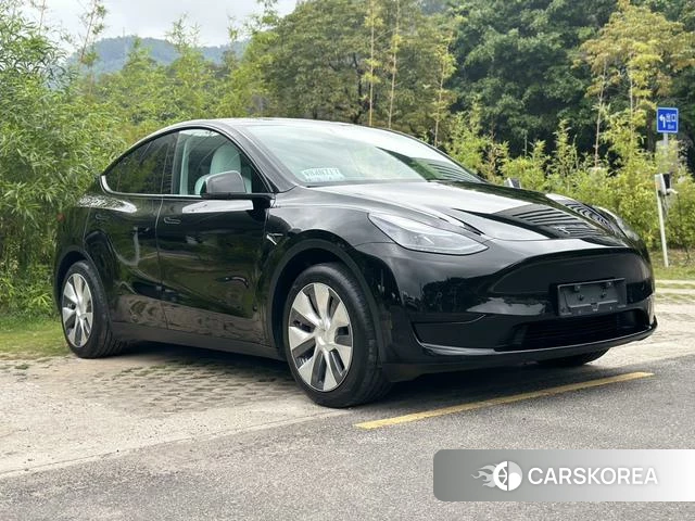 Tesla Model Y id 3993800 из Китая 19