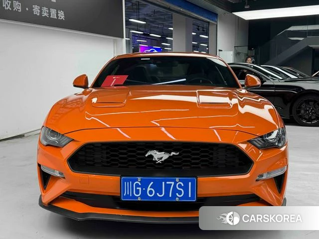 Ford Mustang id 4214517 из Китая 9