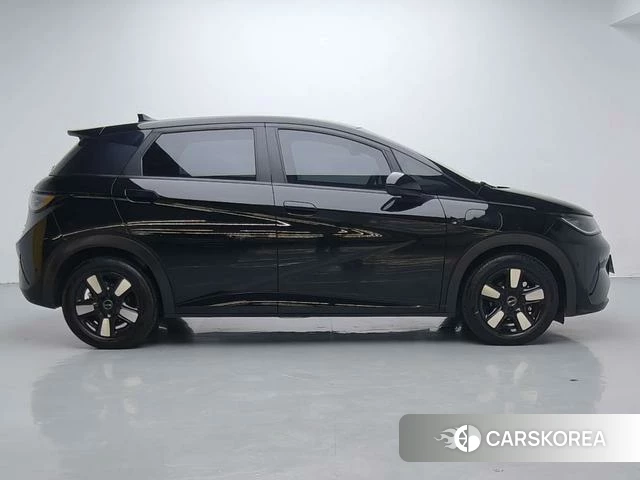 BYD dolphin id 3957663 из Китая 17