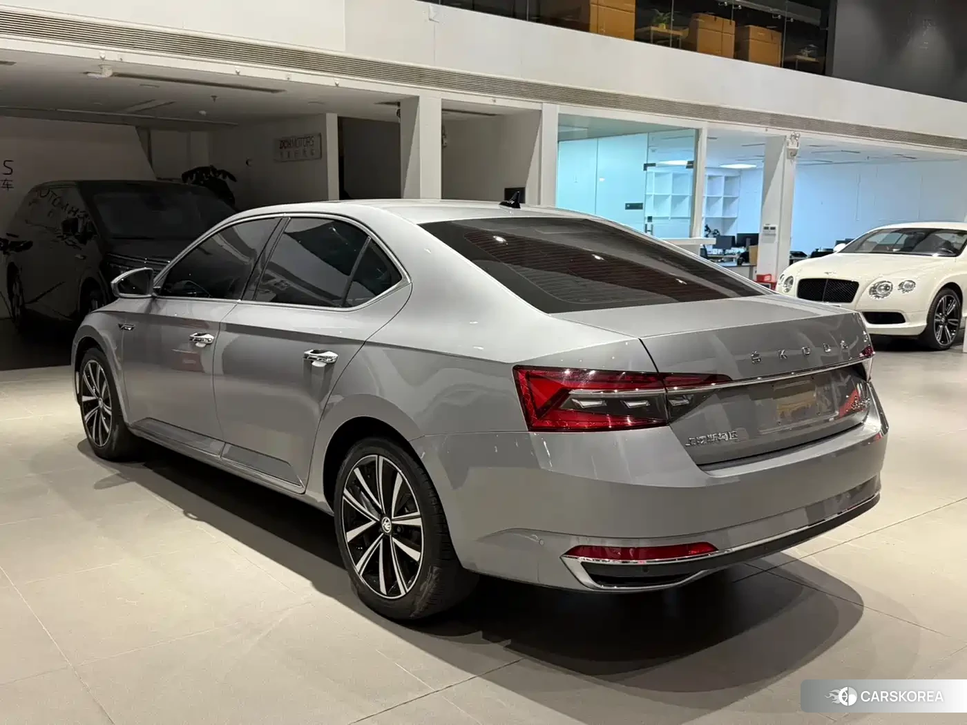 Skoda Speed pie id 4576264 из Китая 18