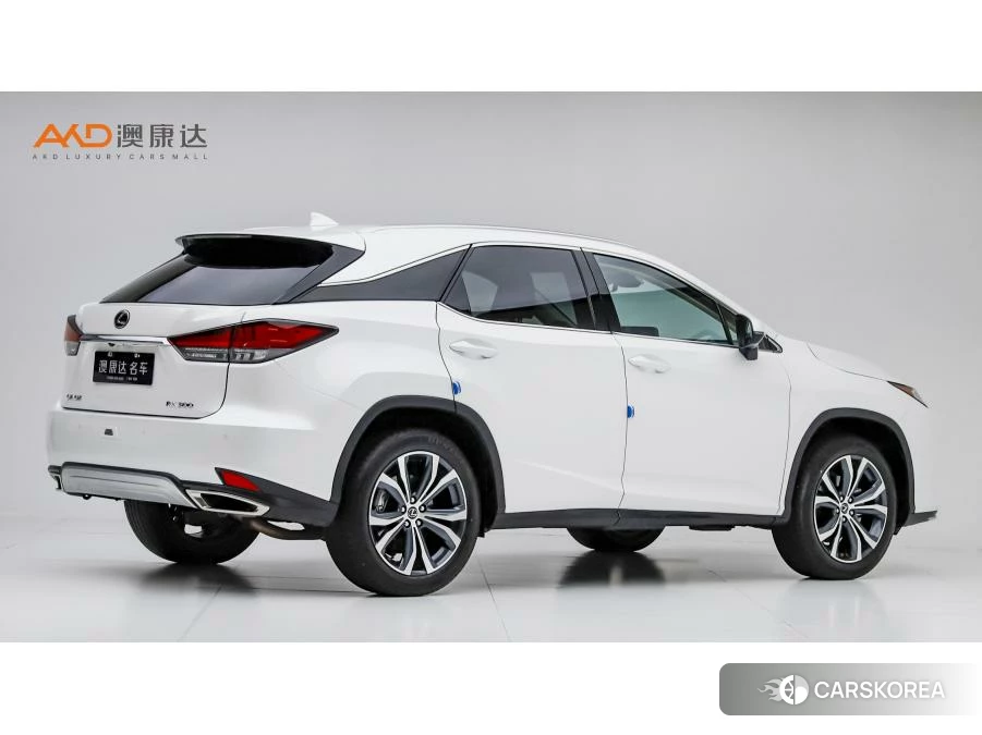 Lexus RX id 4473871 из Китая 7