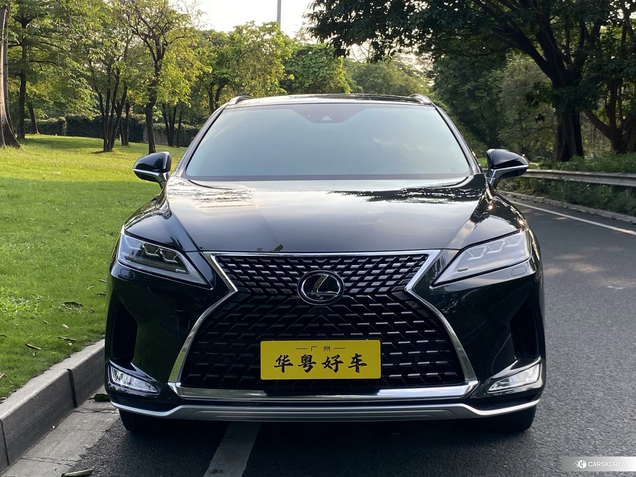 Lexus RX id 4426867 из Китая 19