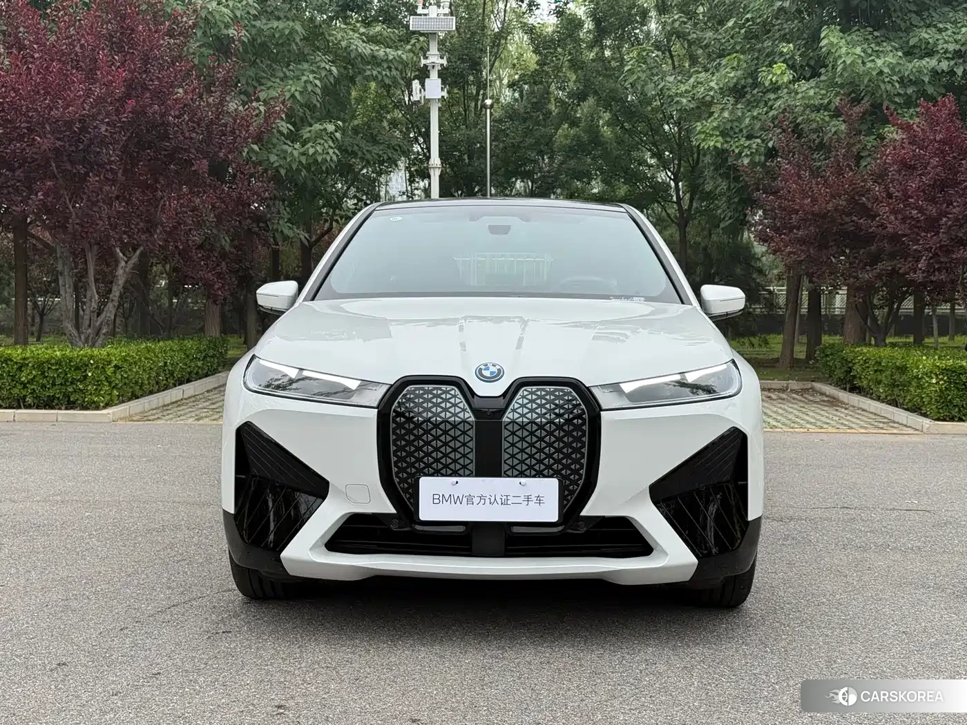 BMW iX id 4548018 из Китая 8
