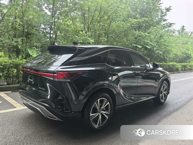 Lexus RX id 4333872 из Китая 8