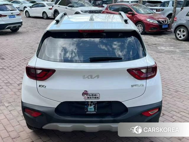 Kia Yi Ran id 4218701 из Китая 7