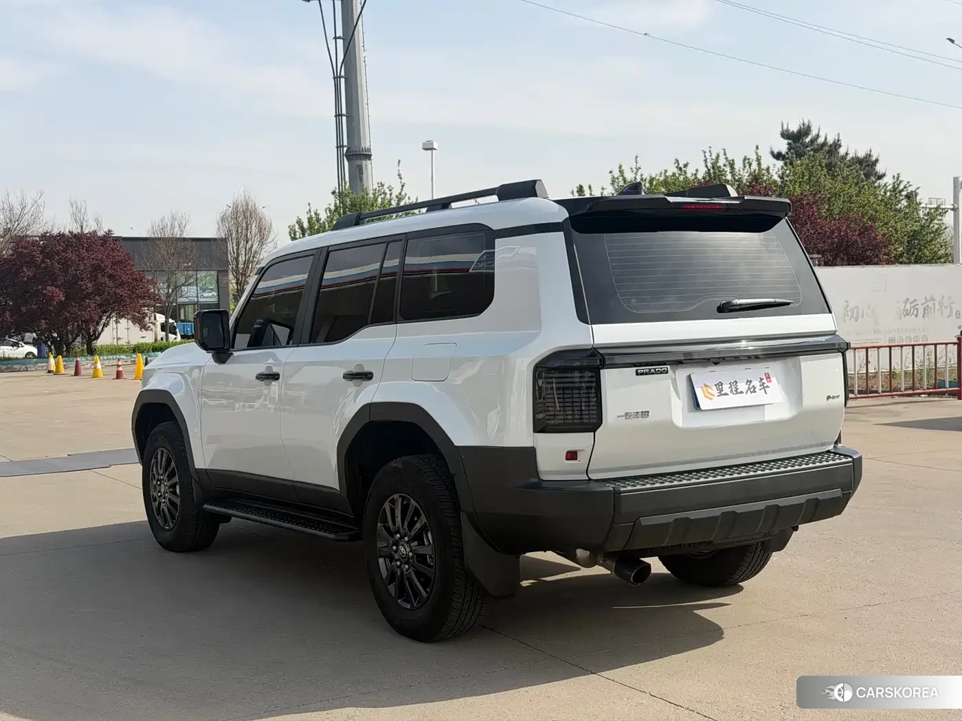 Toyota Land Cruiser id 4514188 из Китая 16