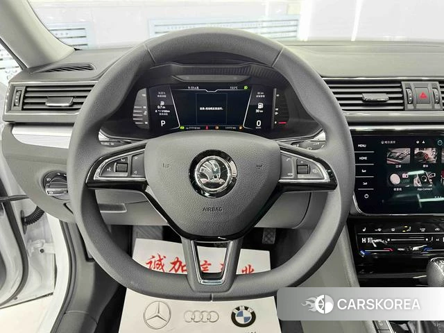 Skoda Speed pie id 4368045 из Китая 19