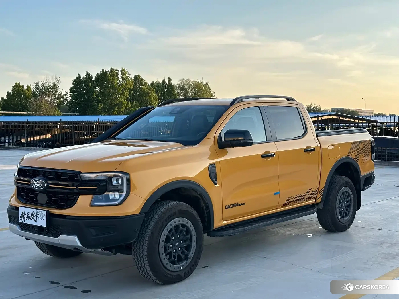 Ford Ranger Ranger id 4545956 из Китая 20