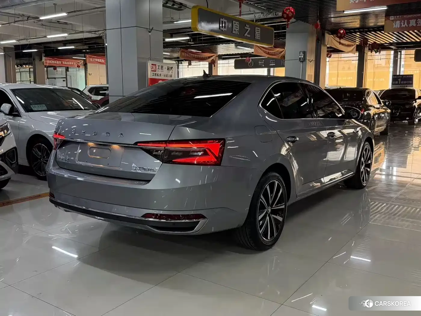 Skoda Speed pie id 4546424 из Китая 7