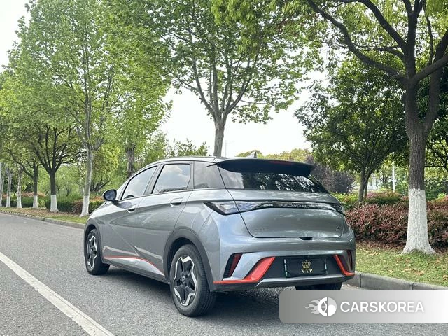 BYD dolphin id 3983308 из Китая 14