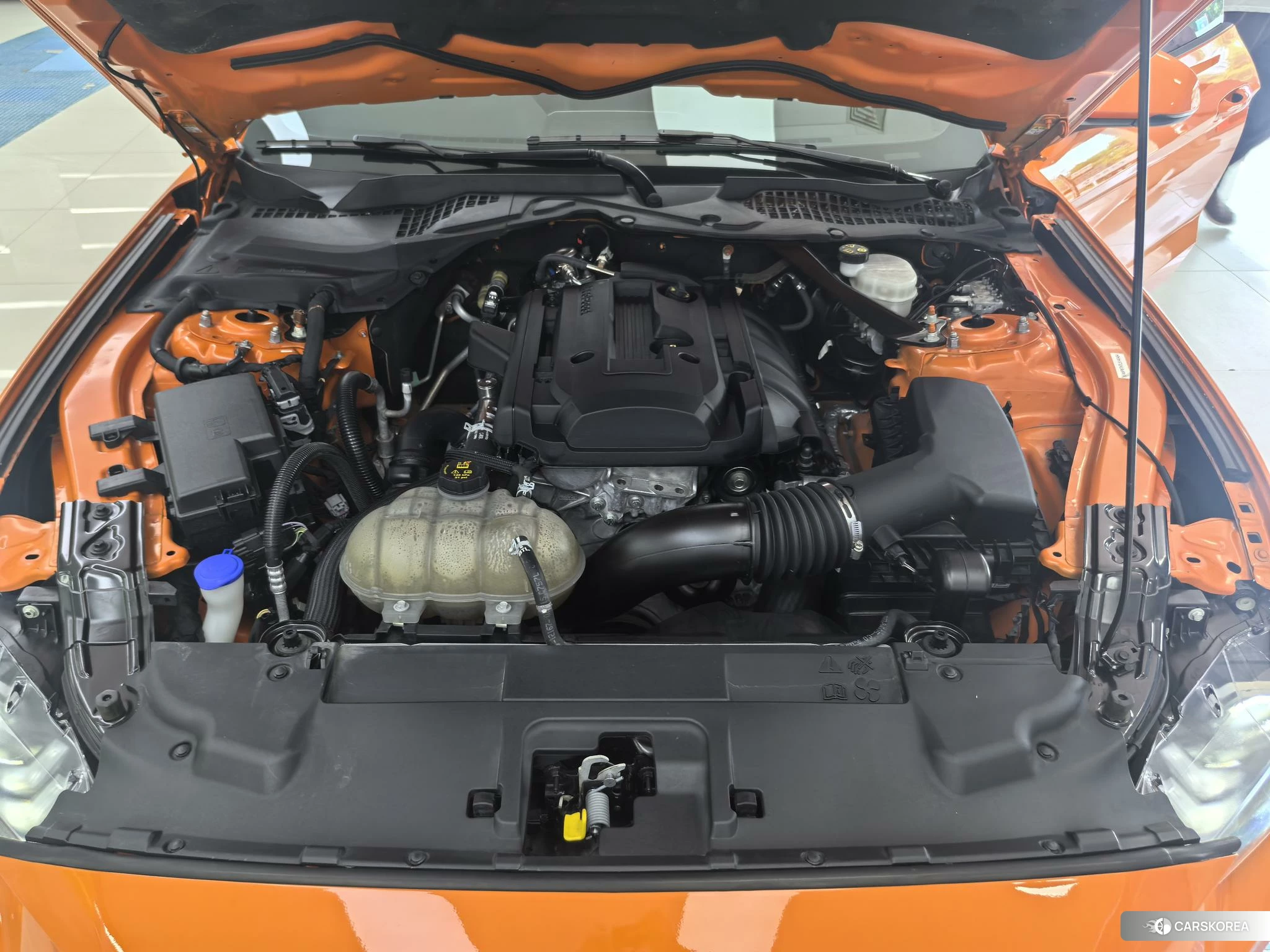 Ford Mustang id 4426761 из Китая 12
