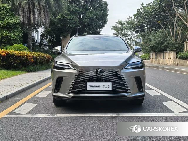 Lexus RX id 4277995 из Китая 7
