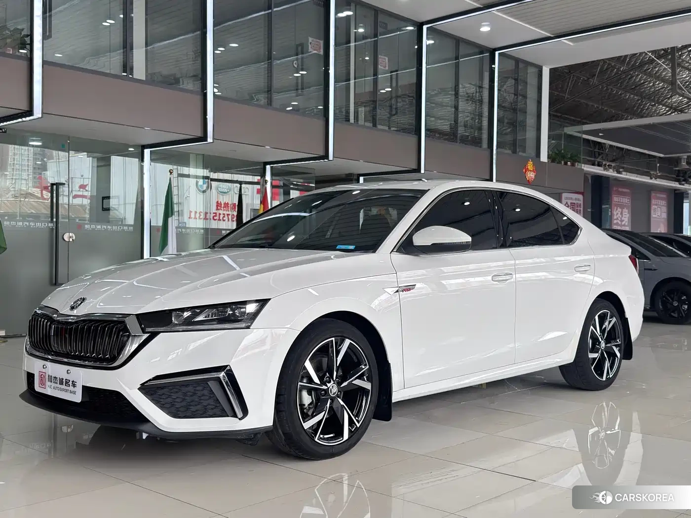 Skoda Octavia id 4578230 из Китая 13