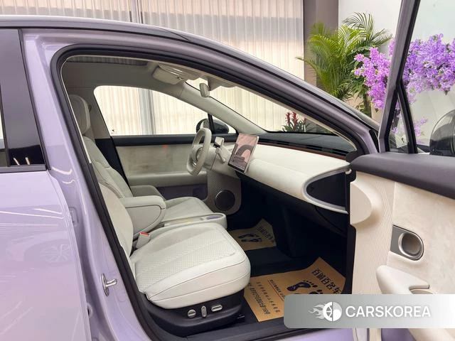 firefly firefly Unknown id 4198925 из Китая 17