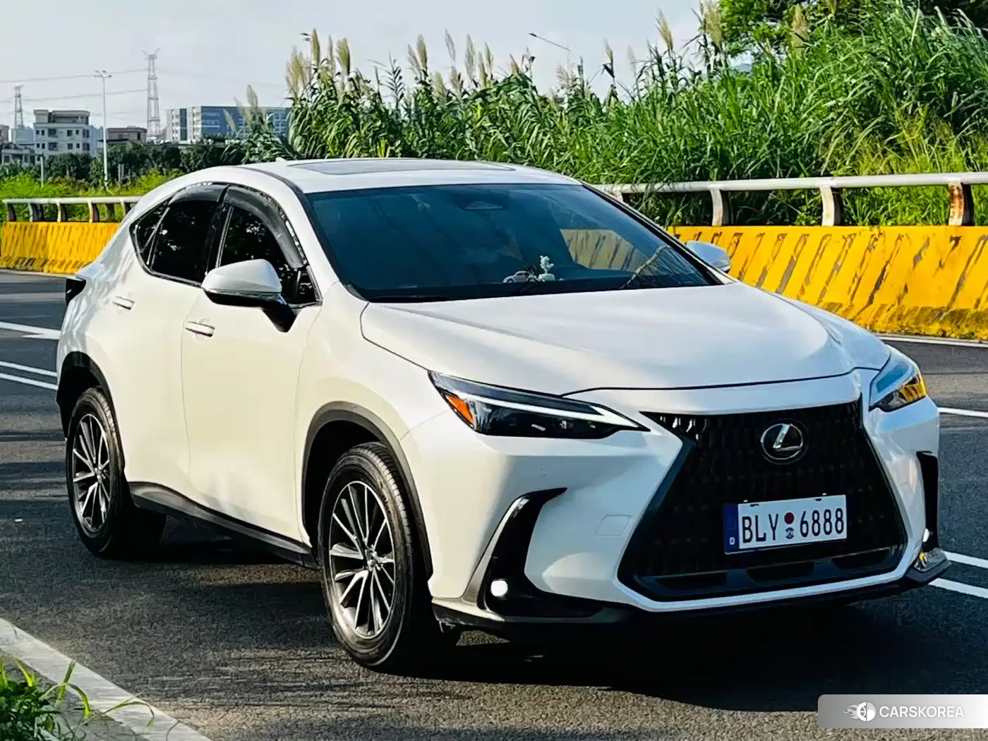 Lexus NX id 4514126 из Китая 10