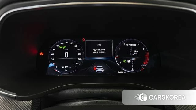 Renault Korea (Samsung) XM3 id 4624252 из Кореи 27