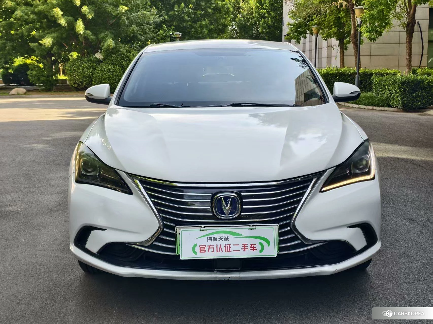 Chang'an Yidong EV id 4510897 из Китая 8