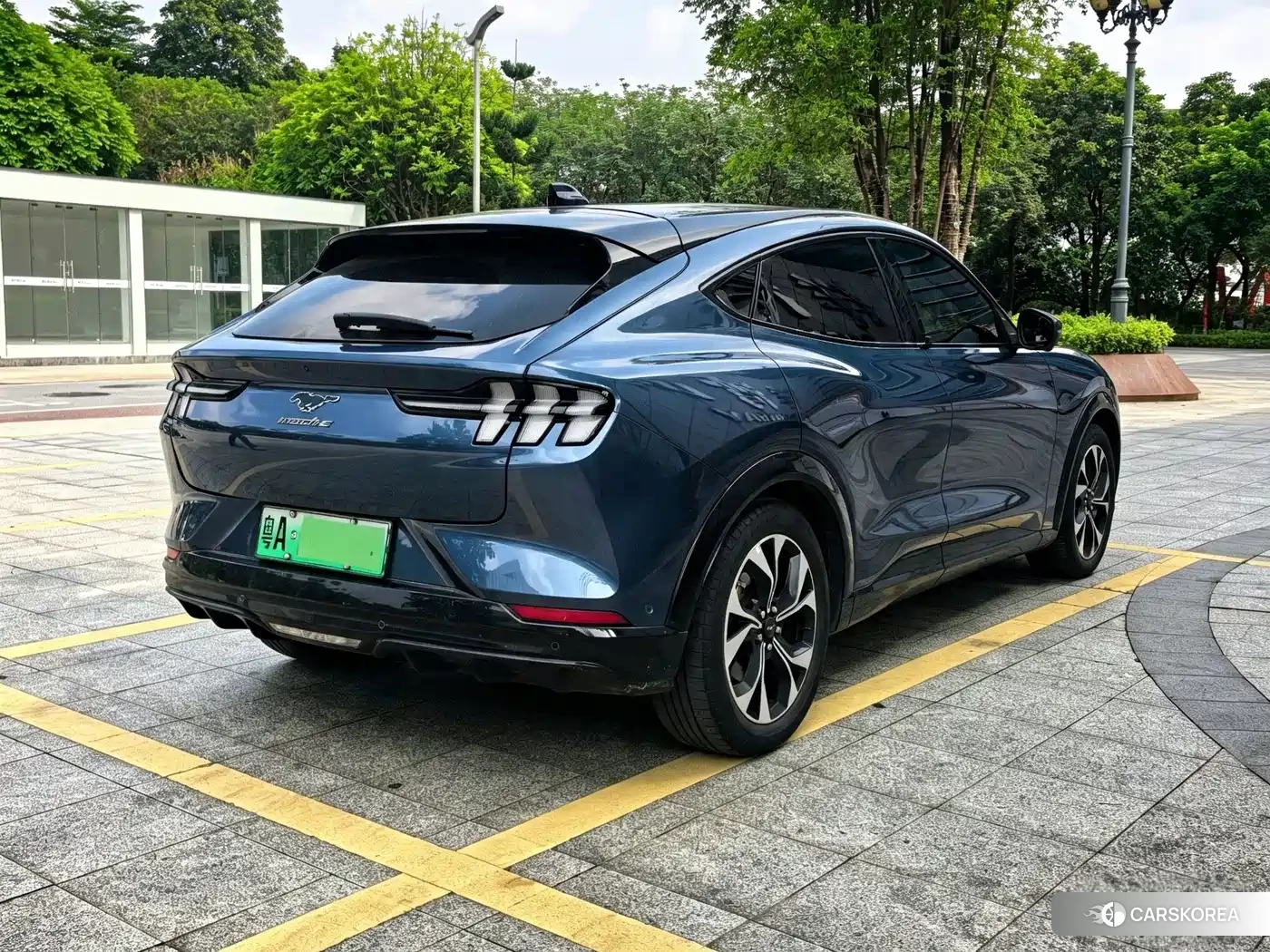 Ford Electric horse id 4686018 из Китая 14