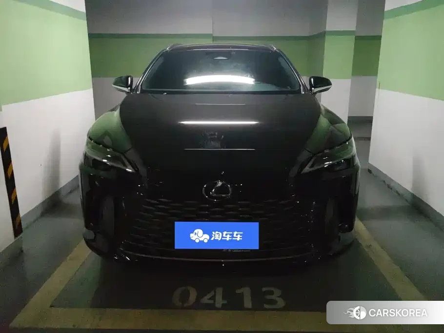 Lexus RX id 4649401 из Китая 13