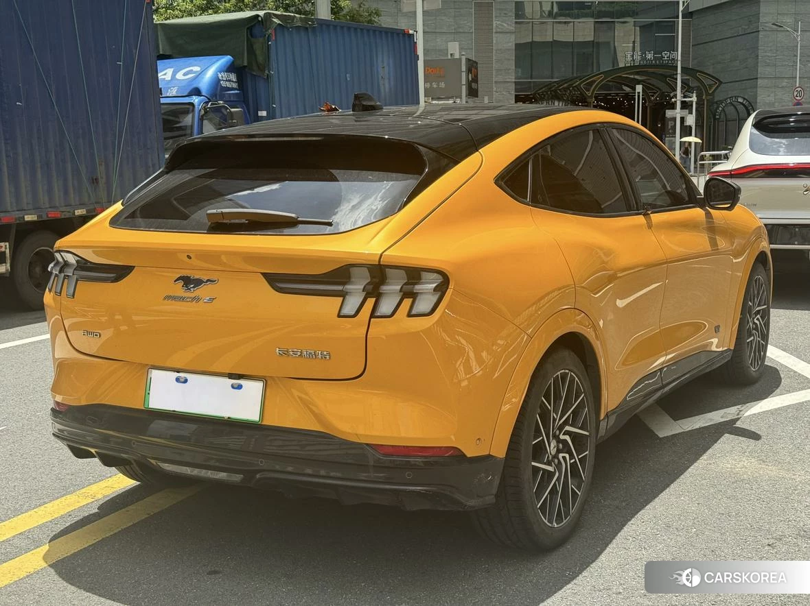 Ford Electric horse id 4499179 из Китая 7